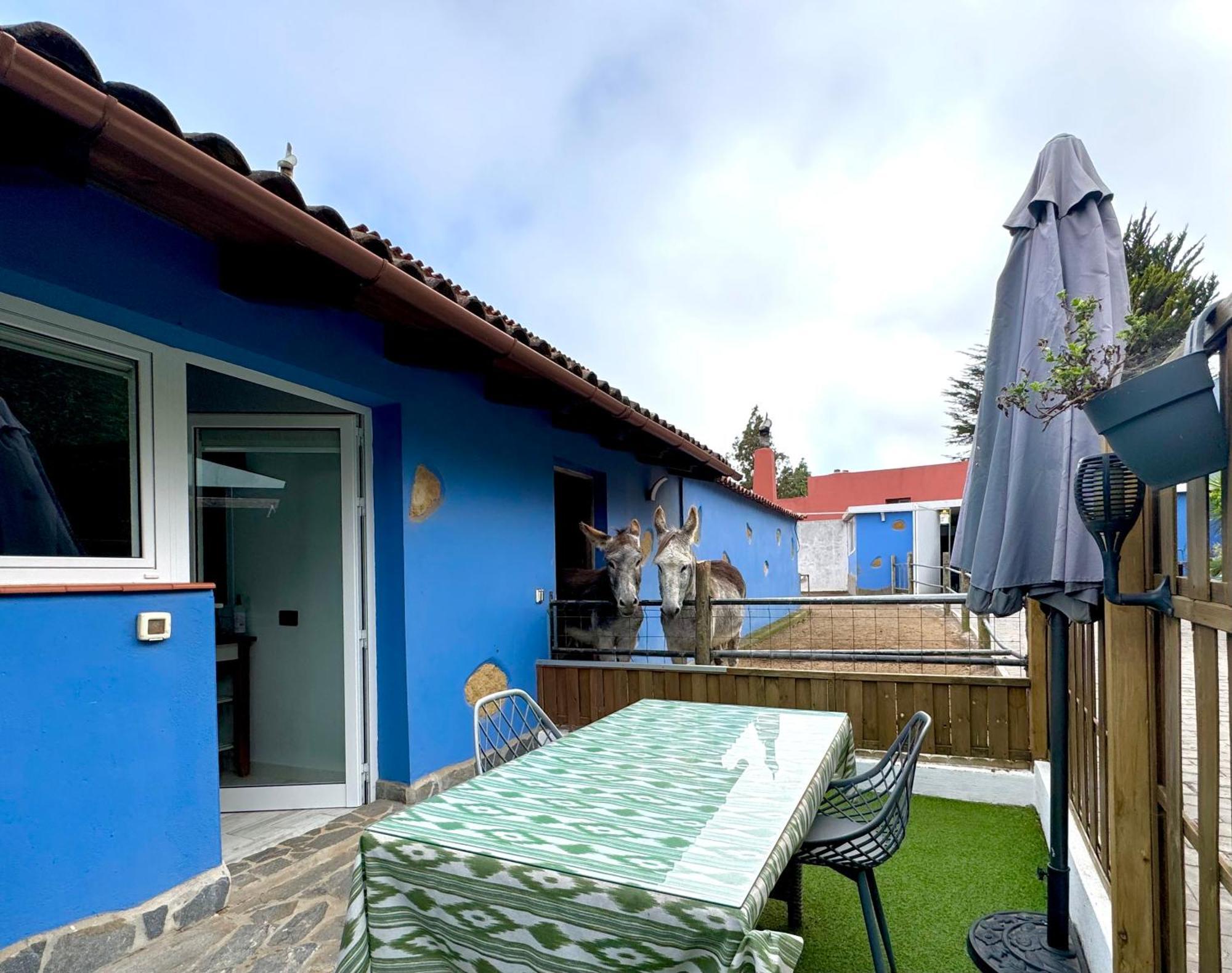 Casa Antigua Villa La Esperanza  Exterior foto
